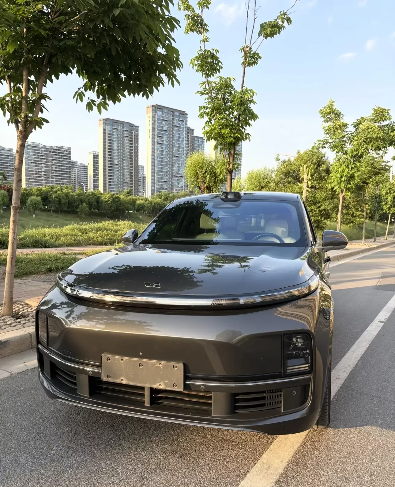 Lixiang L9