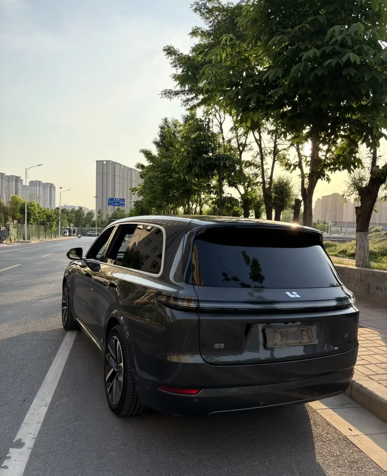 Lixiang L9