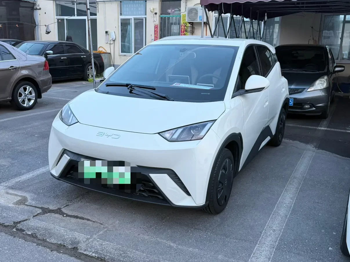 BYD seagull