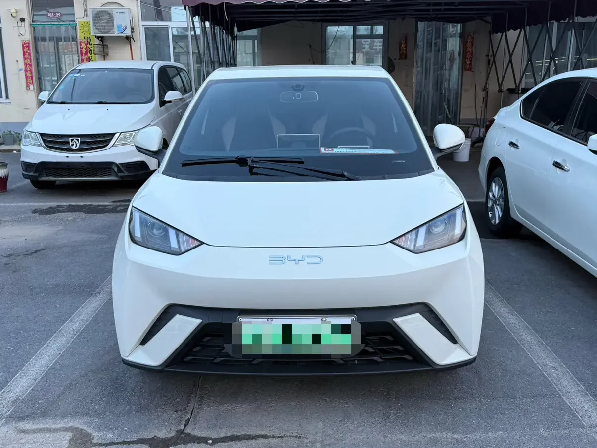 BYD seagull