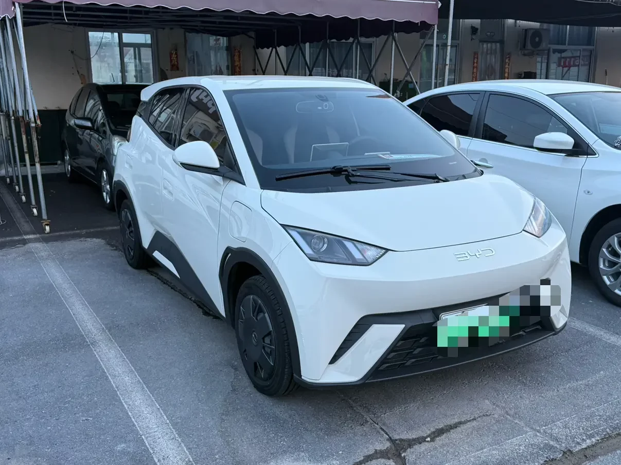 BYD seagull
