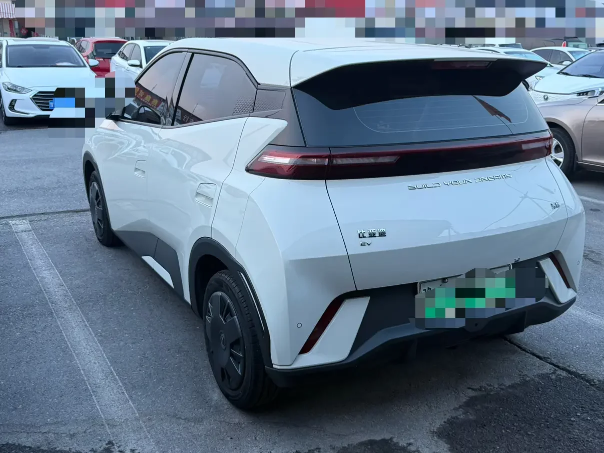 BYD seagull