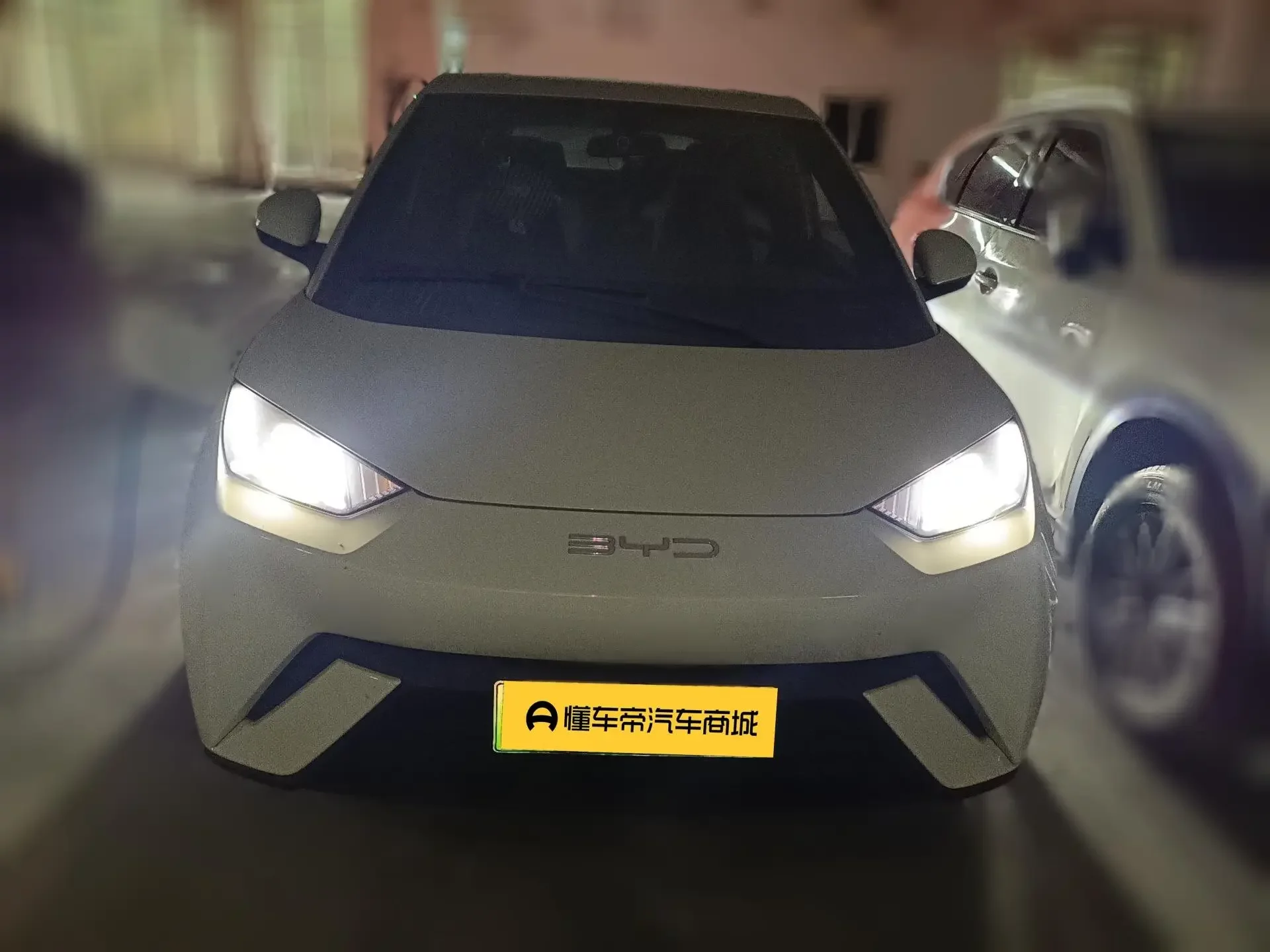 BYD seagull