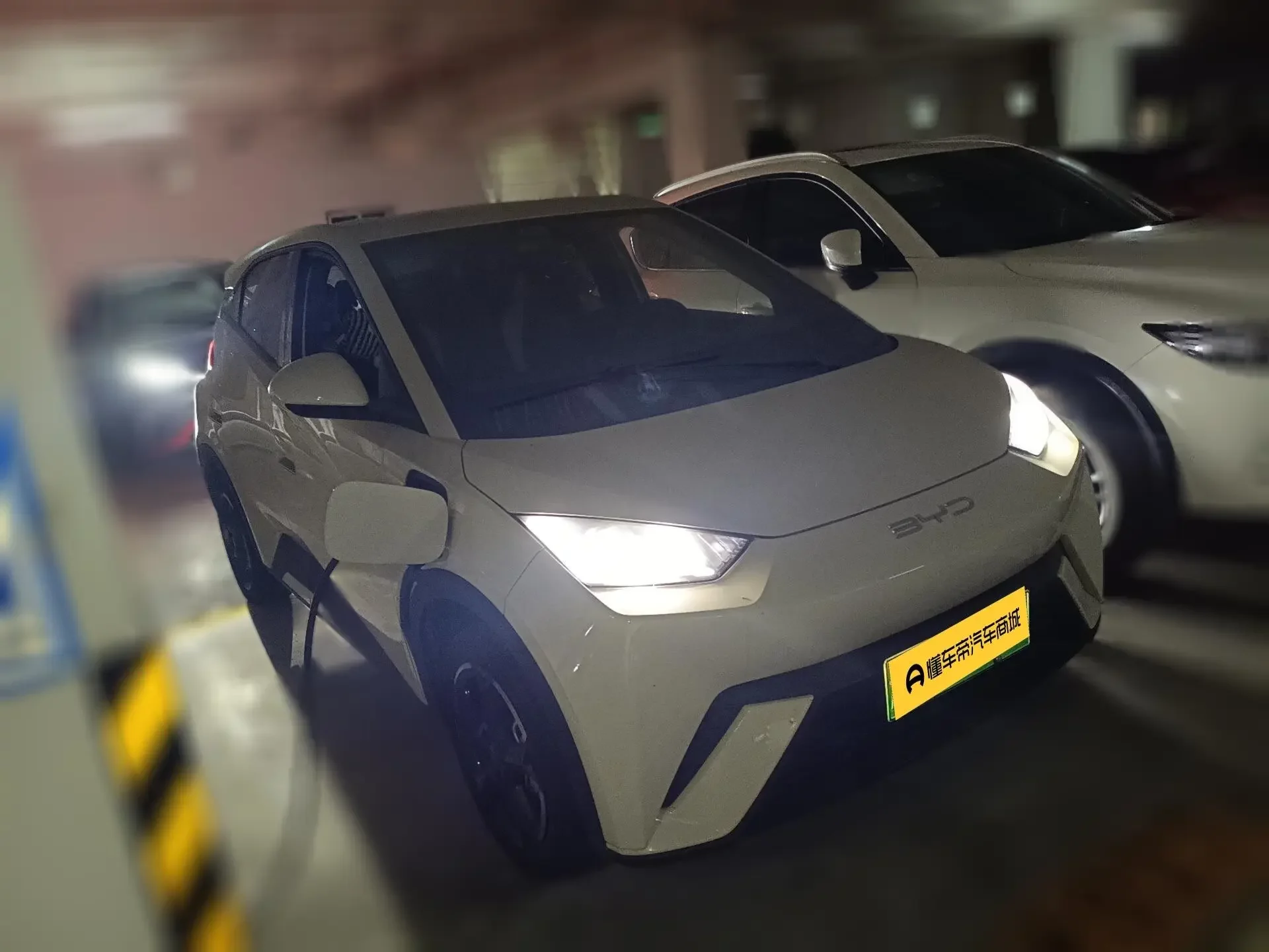 BYD seagull