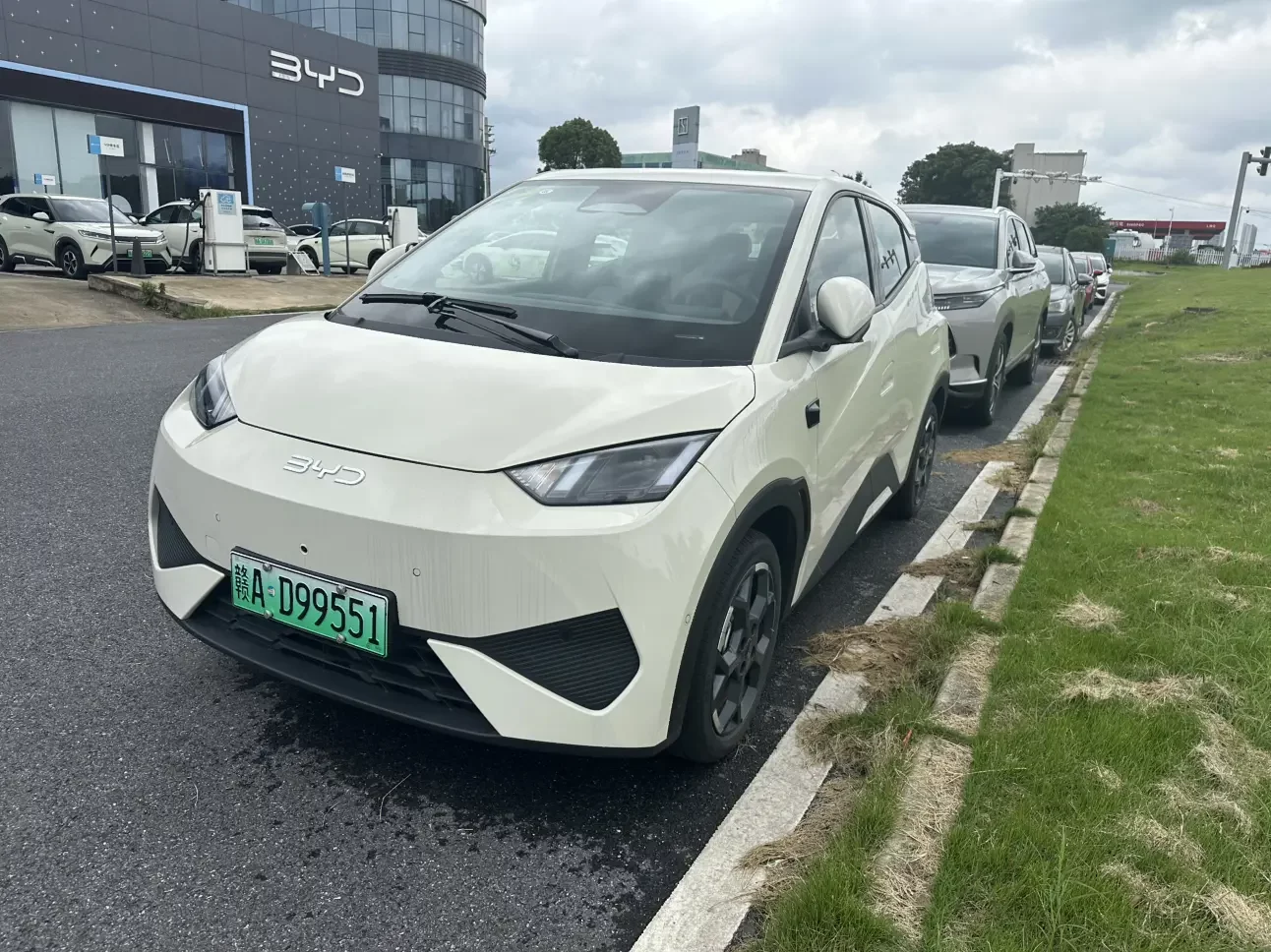 BYD seagull