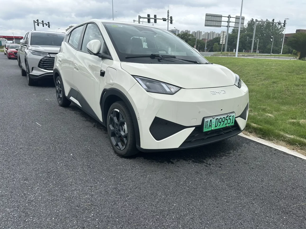 BYD seagull