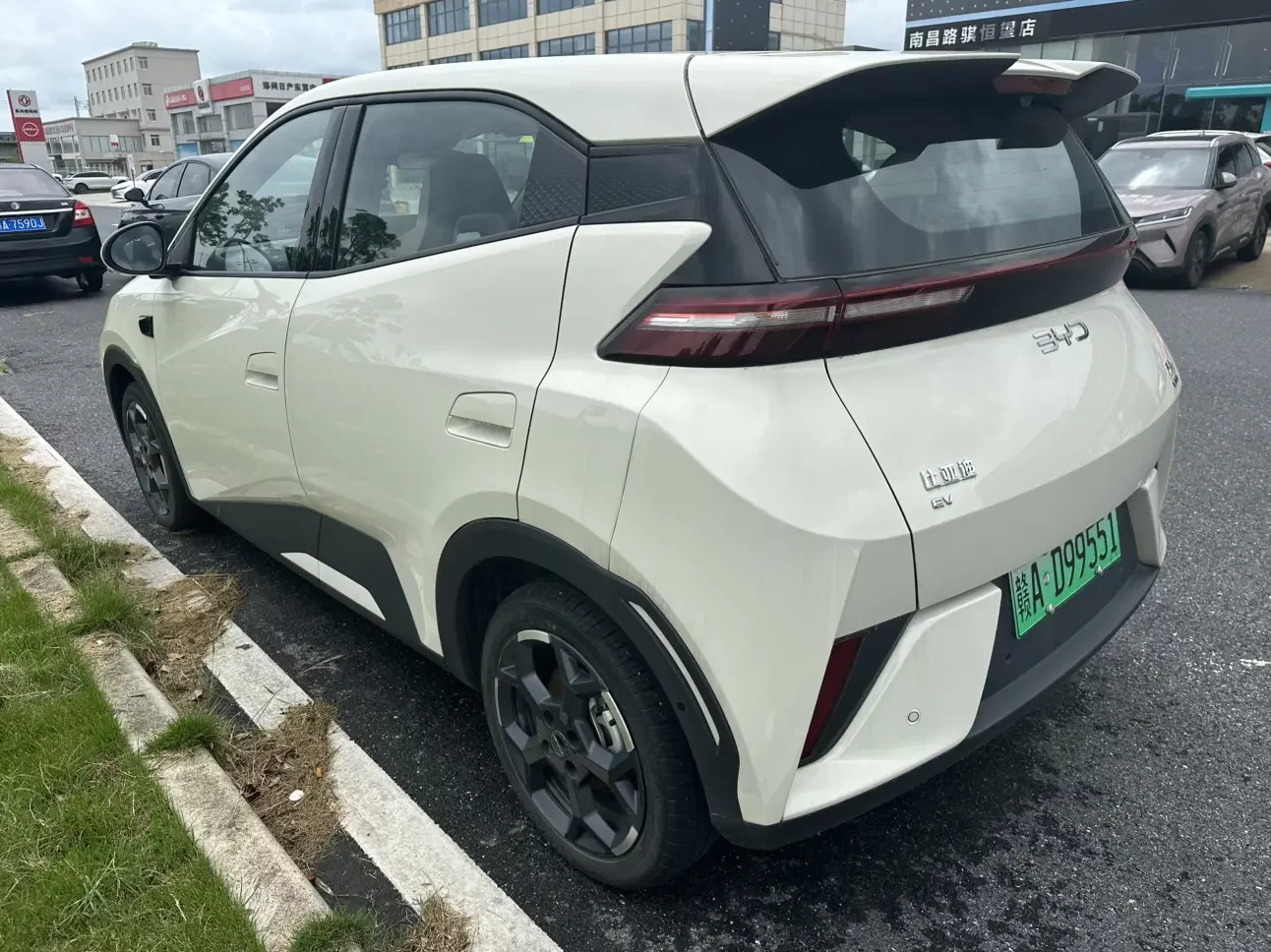 BYD seagull