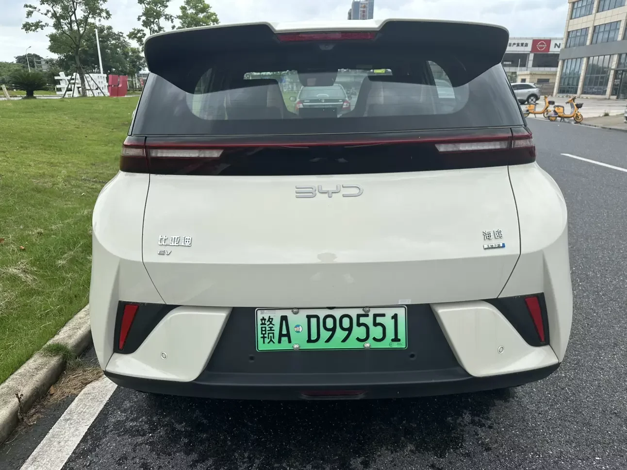 BYD seagull