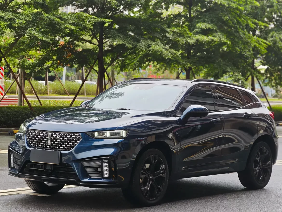 Wey Wei brand VV7