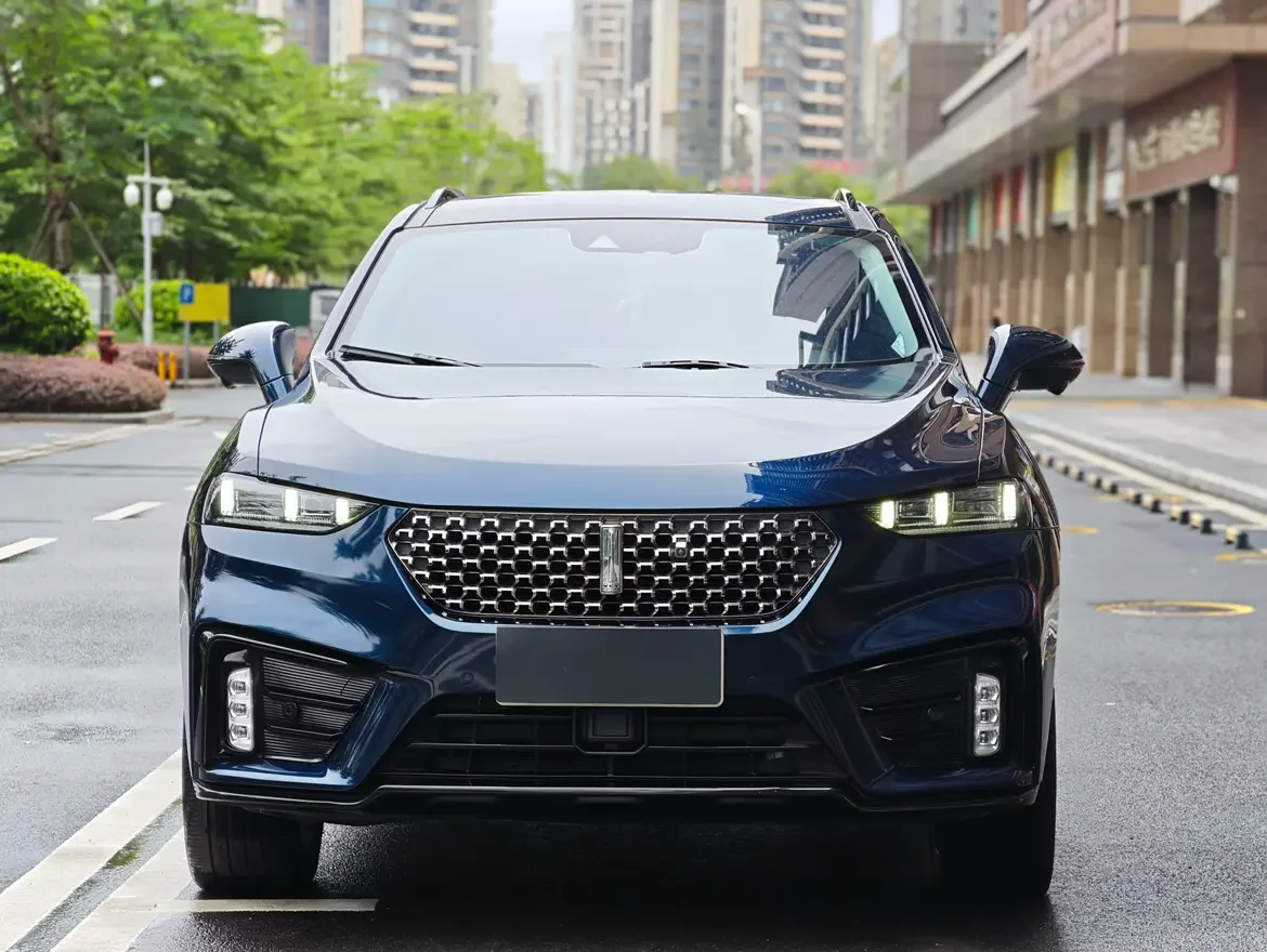 Wey Wei brand VV7