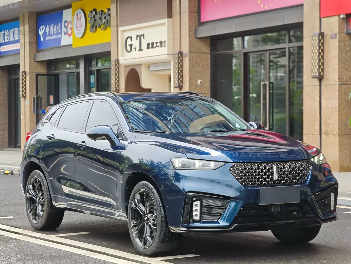 Wey Wei brand VV7