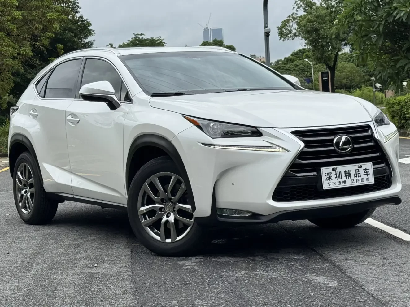 Lexus NX