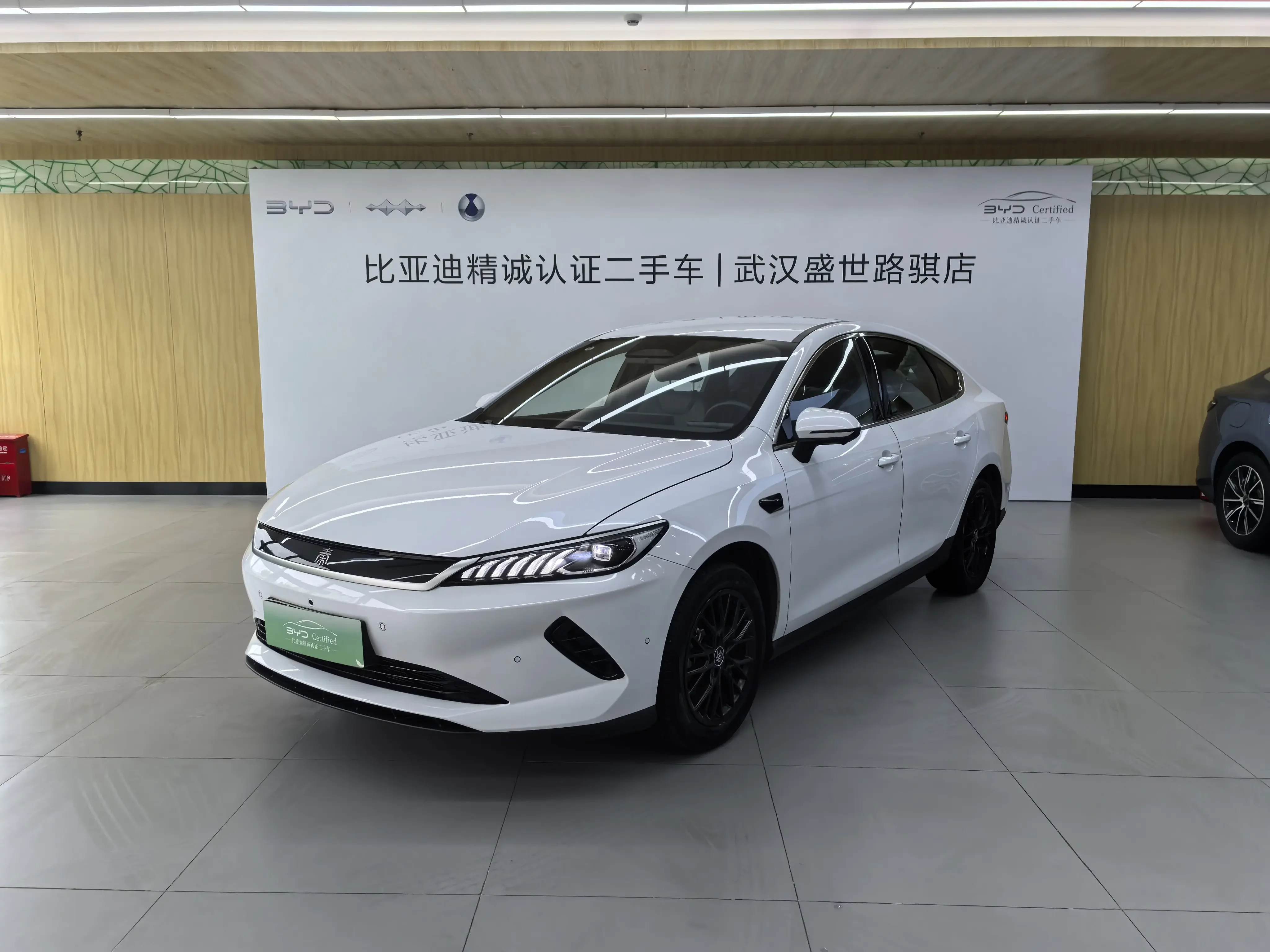 BYD Qin PLUS EV