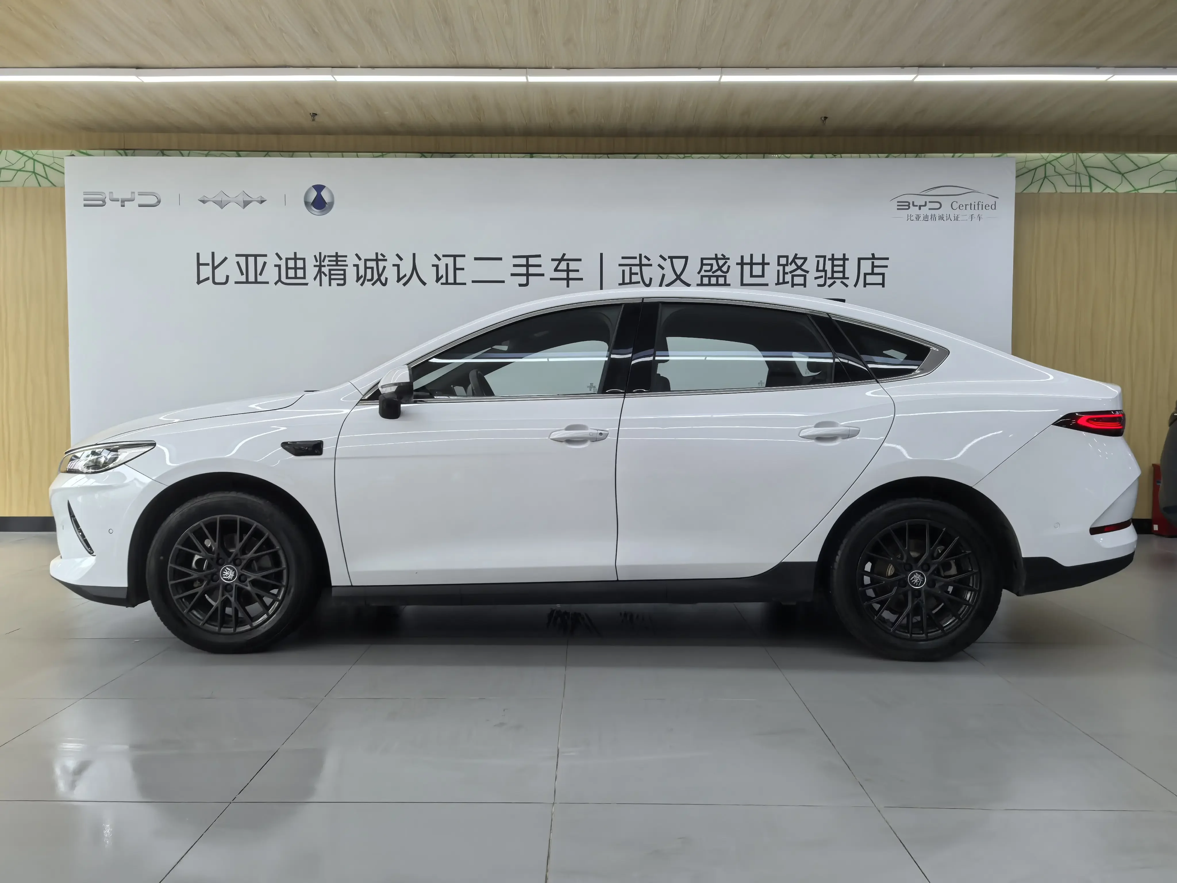BYD Qin PLUS EV
