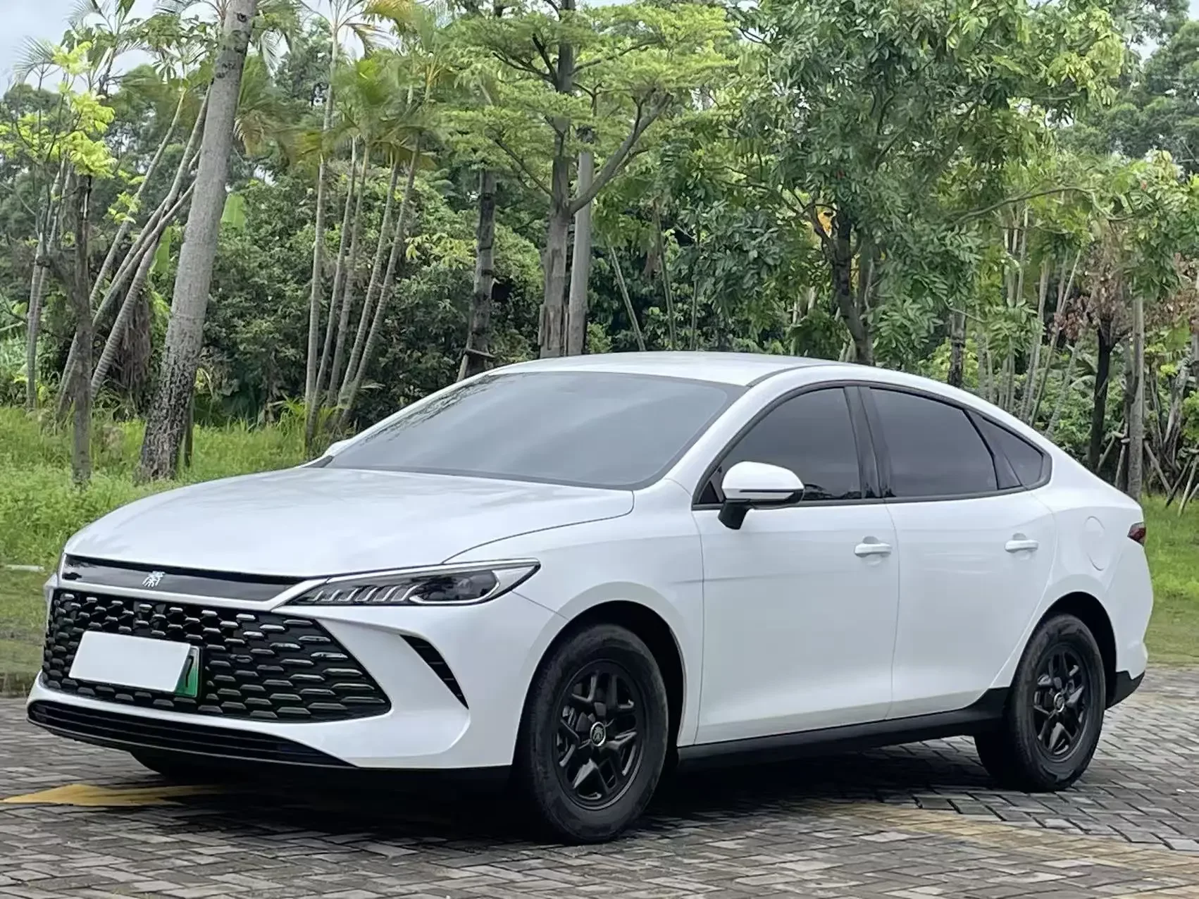BYD Qin PLUS DM