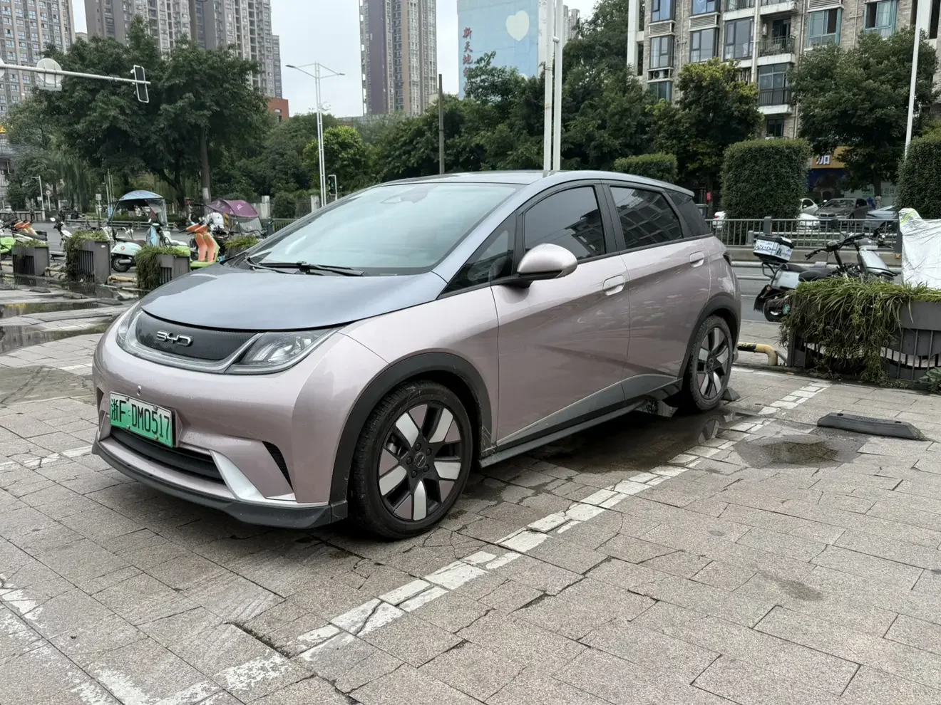 BYD dolphin