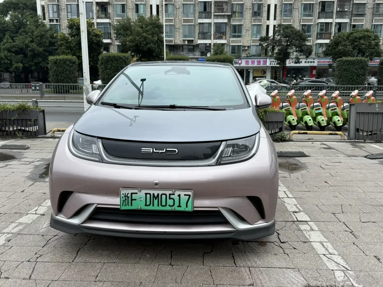 BYD dolphin