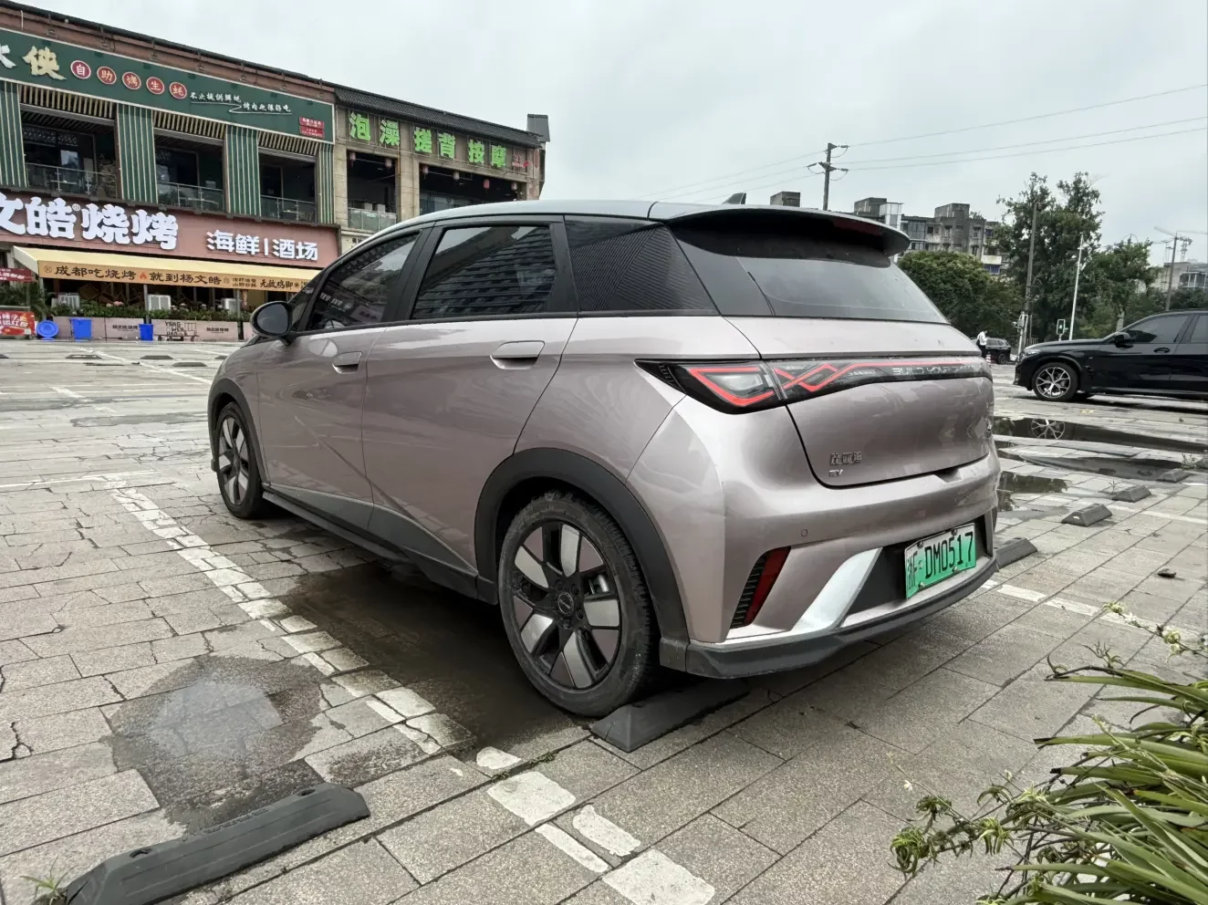 BYD dolphin