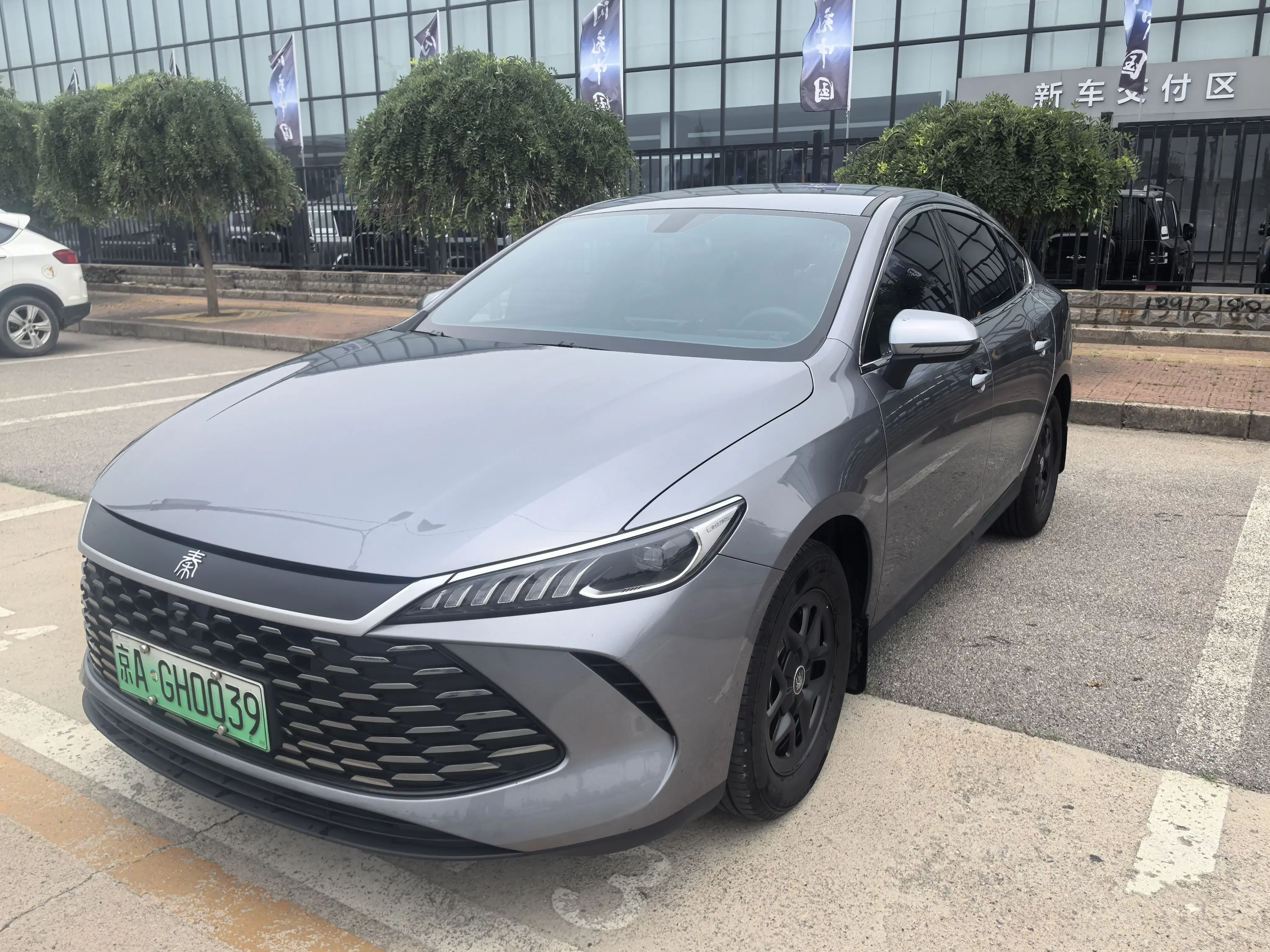 BYD Qin PLUS DM