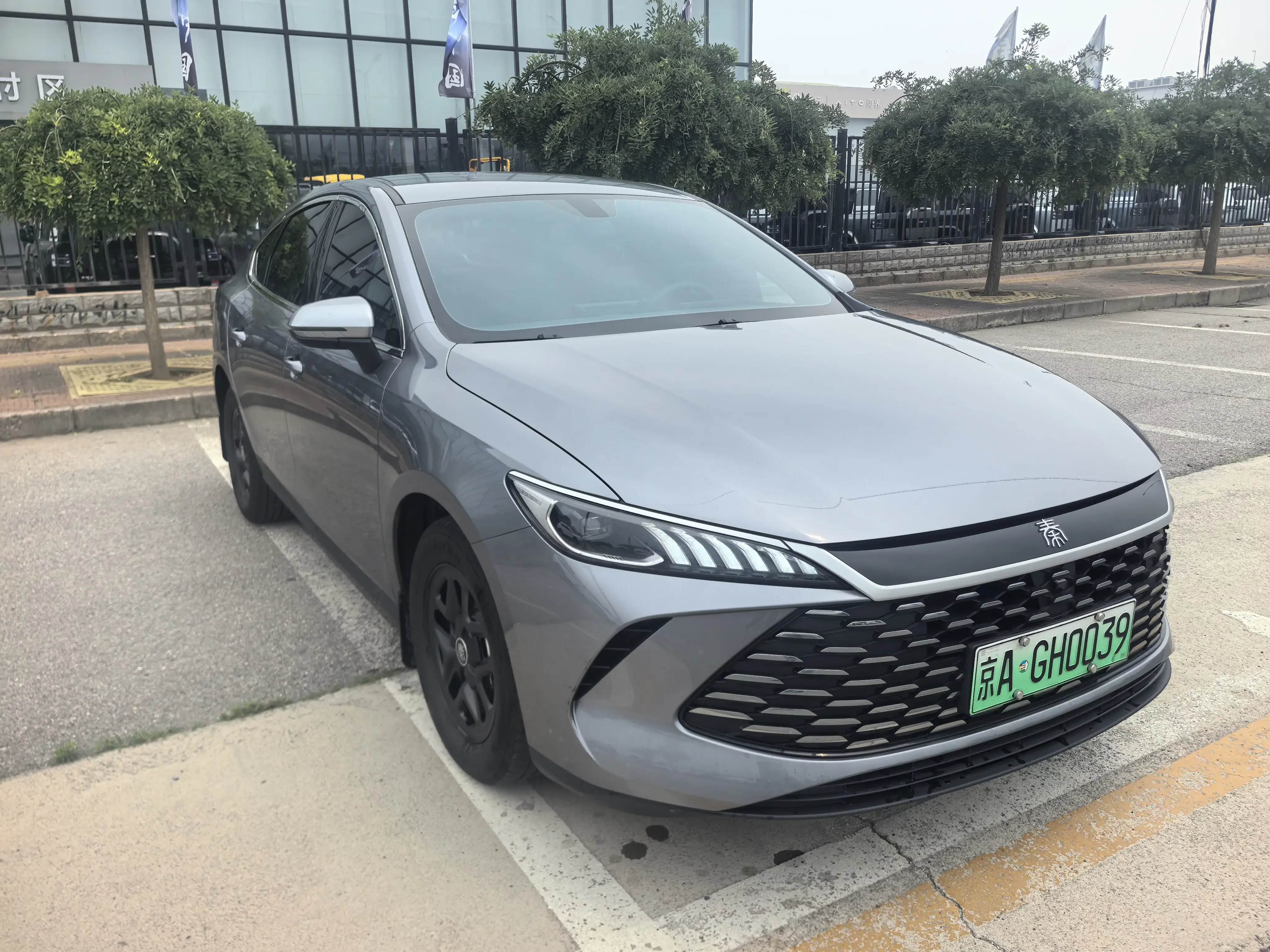BYD Qin PLUS DM
