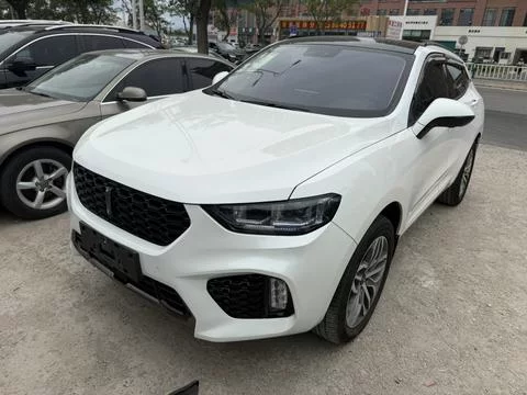 Wey Wei brand VV5