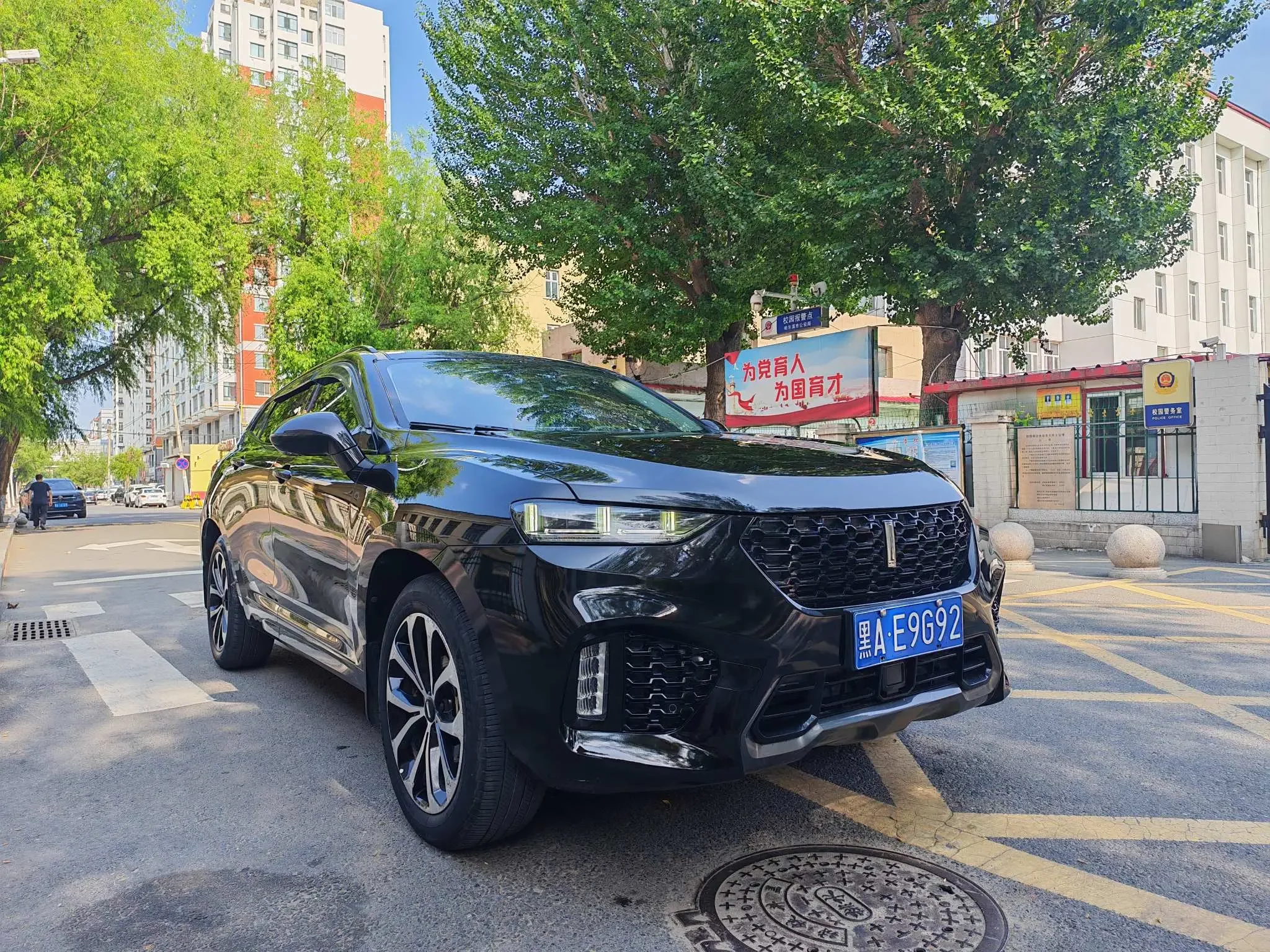 Wey Wei brand VV7