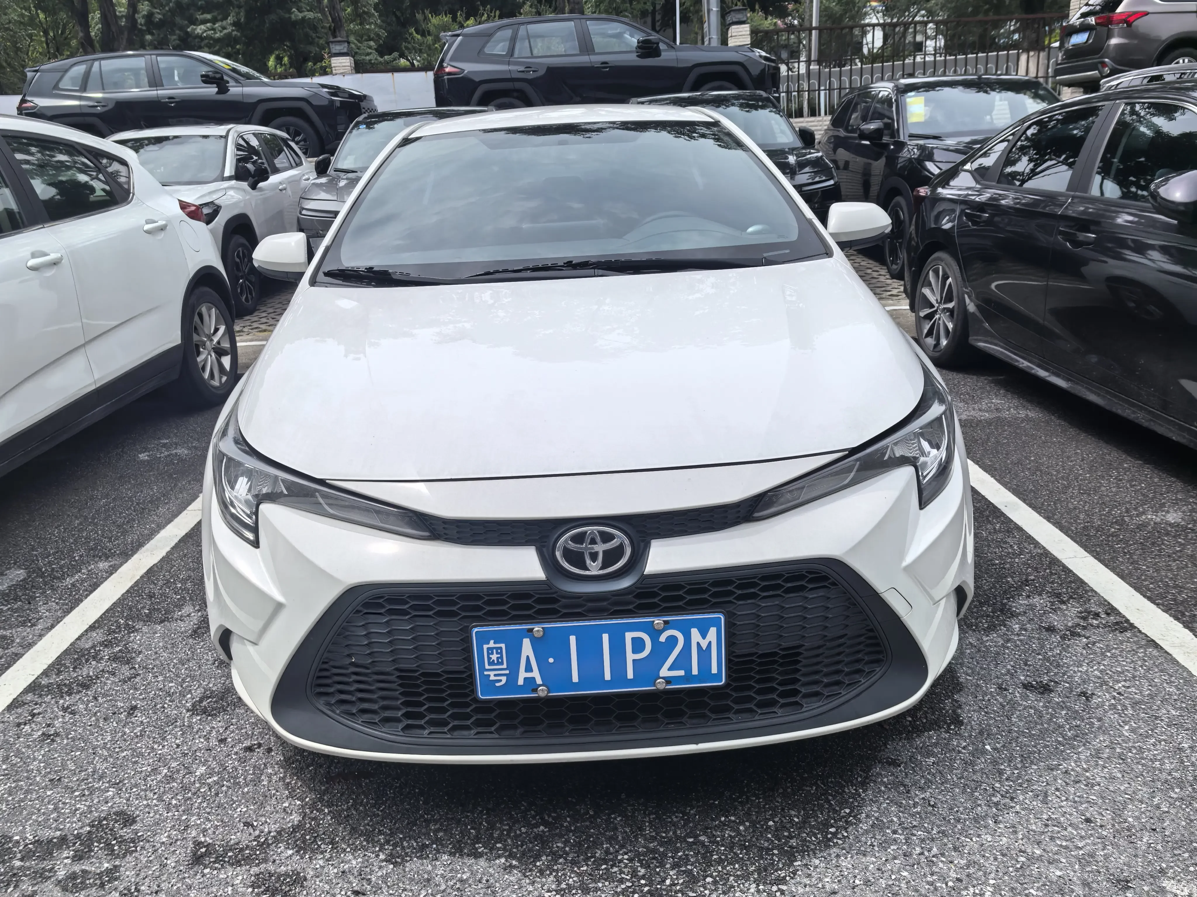 Toyota Levin