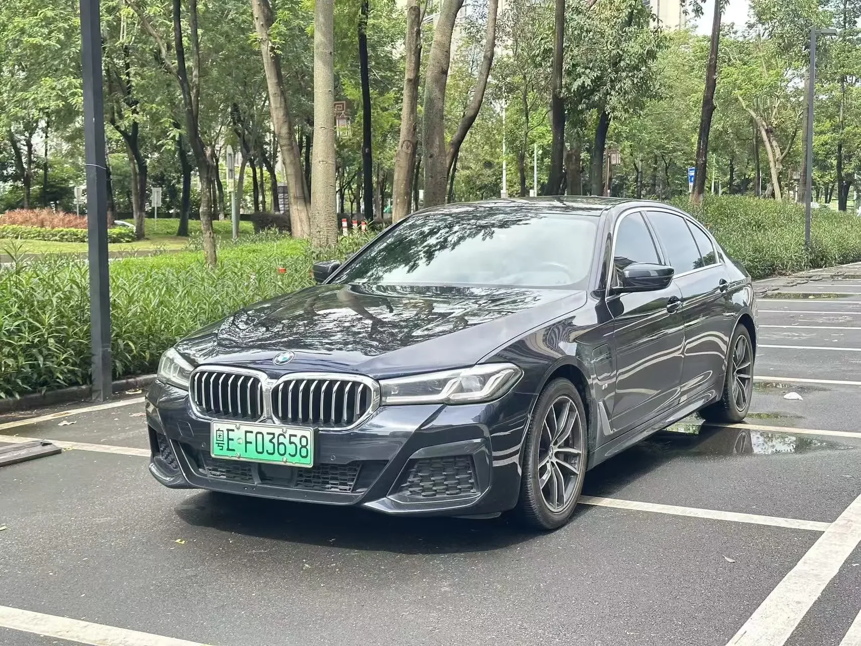 BMW 5 Series PHEV