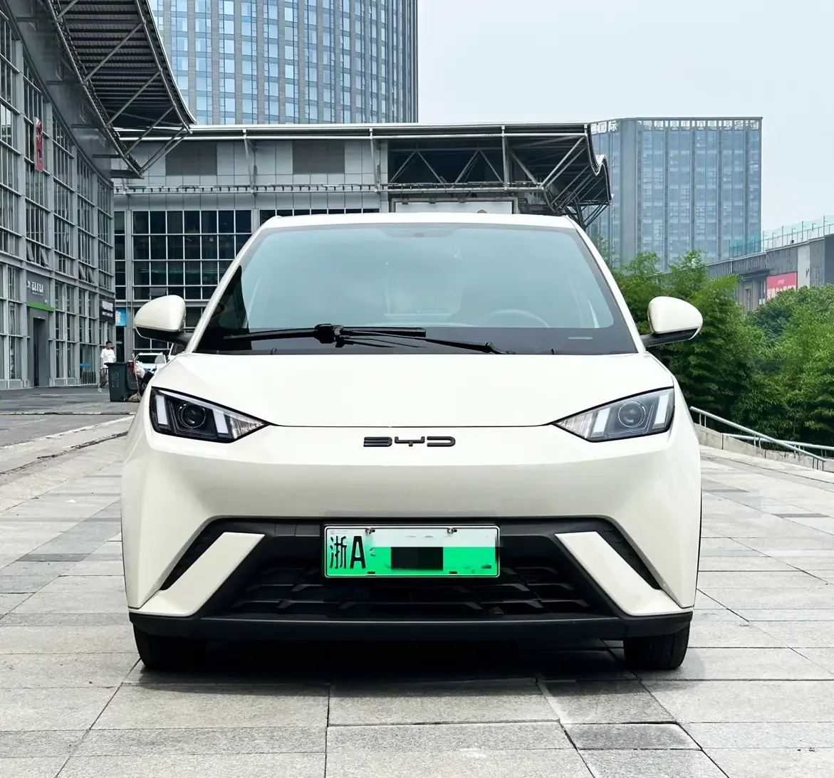 BYD seagull