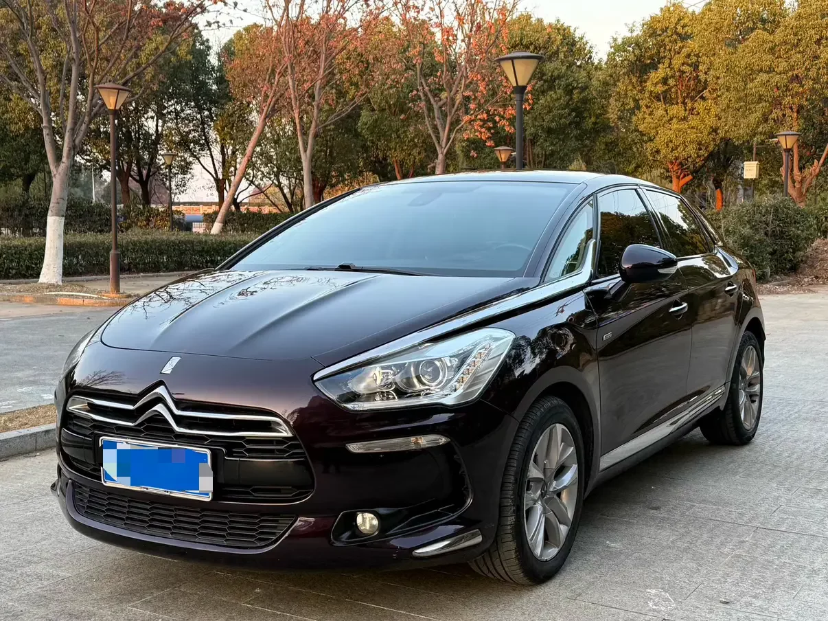DS 5