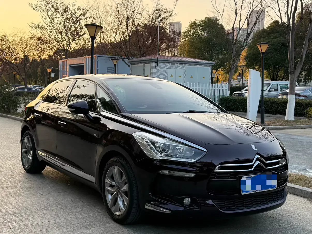 DS 5