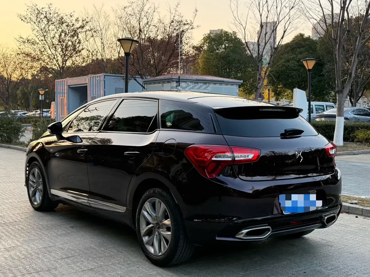 DS 5
