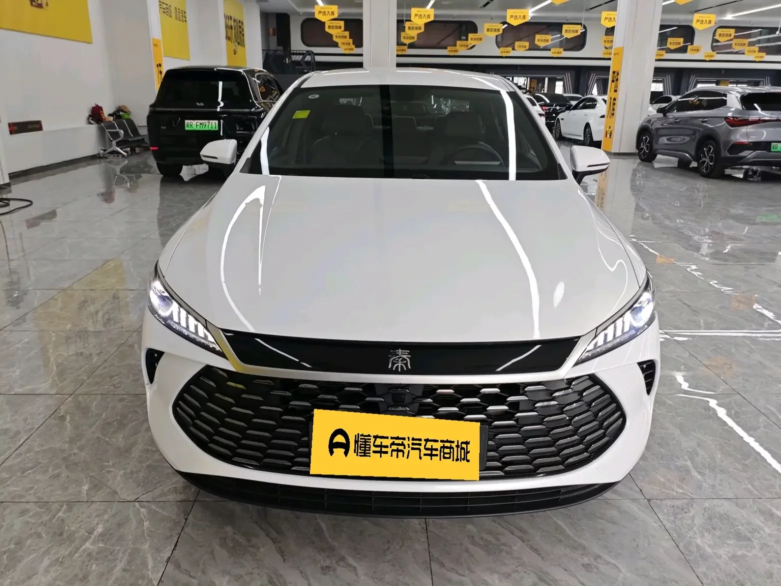 BYD Qin PLUS DM
