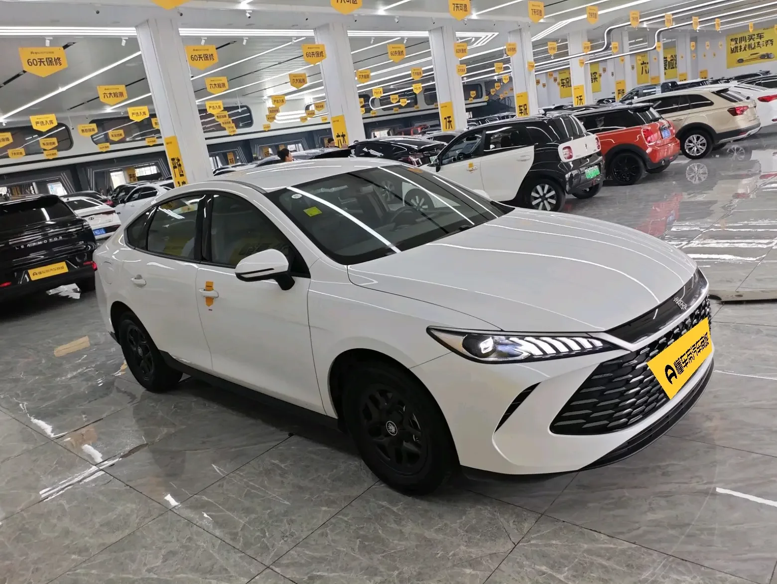 BYD Qin PLUS DM