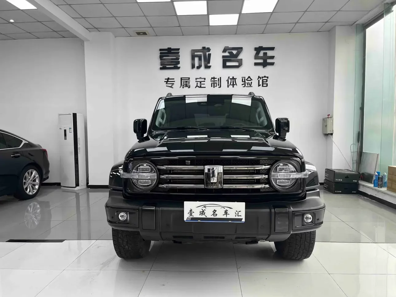 Tank 300
