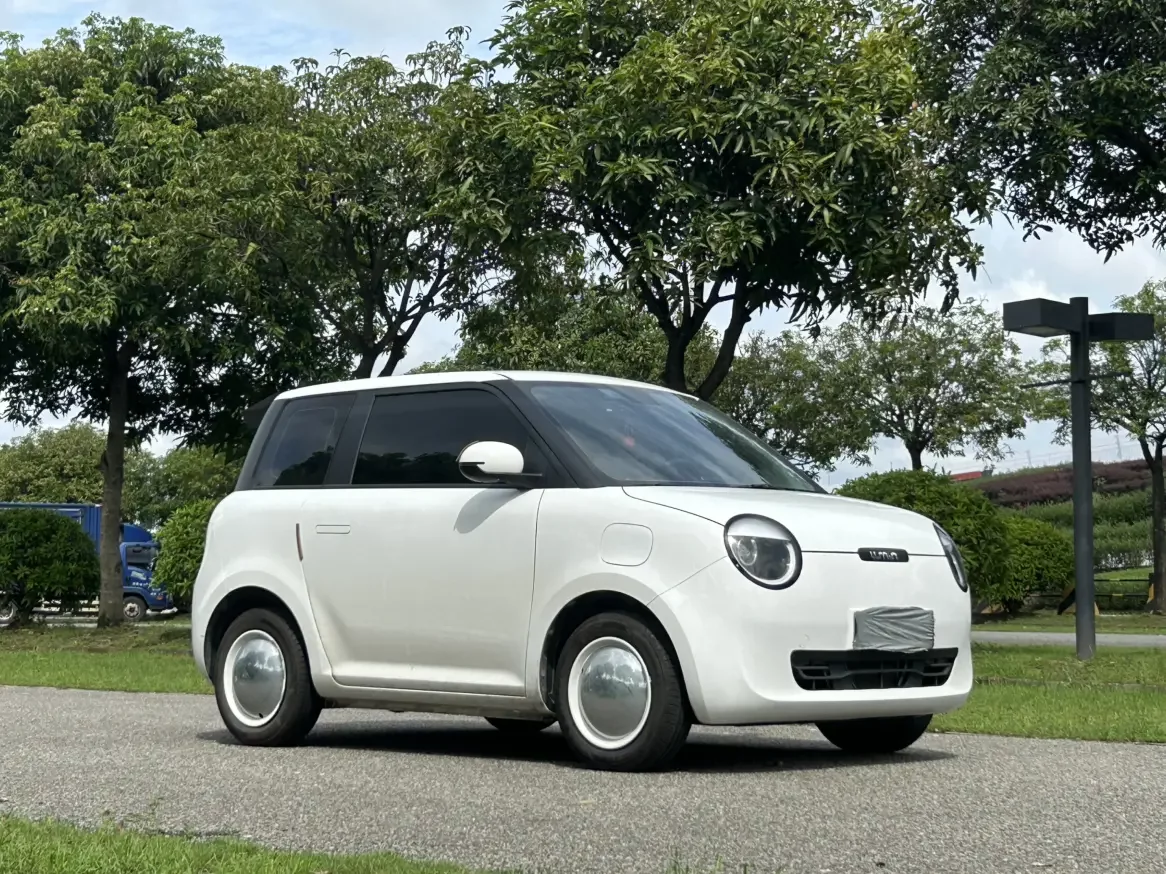 Changan Lumin
