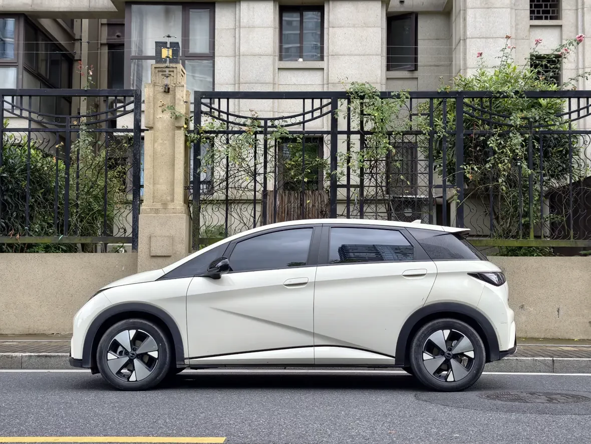BYD dolphin