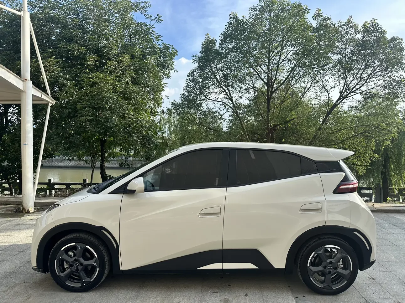 BYD seagull