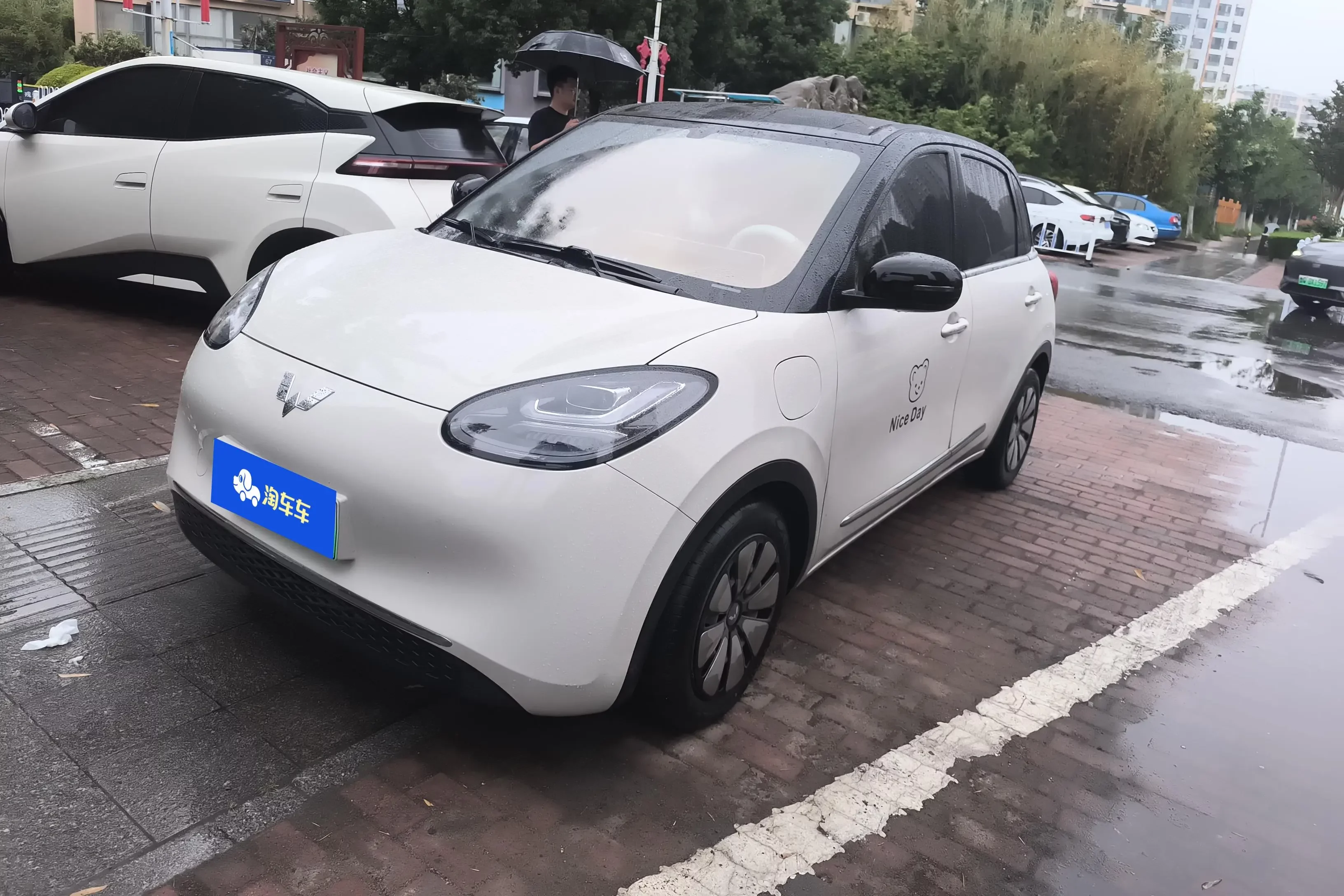 Wuling Bingo