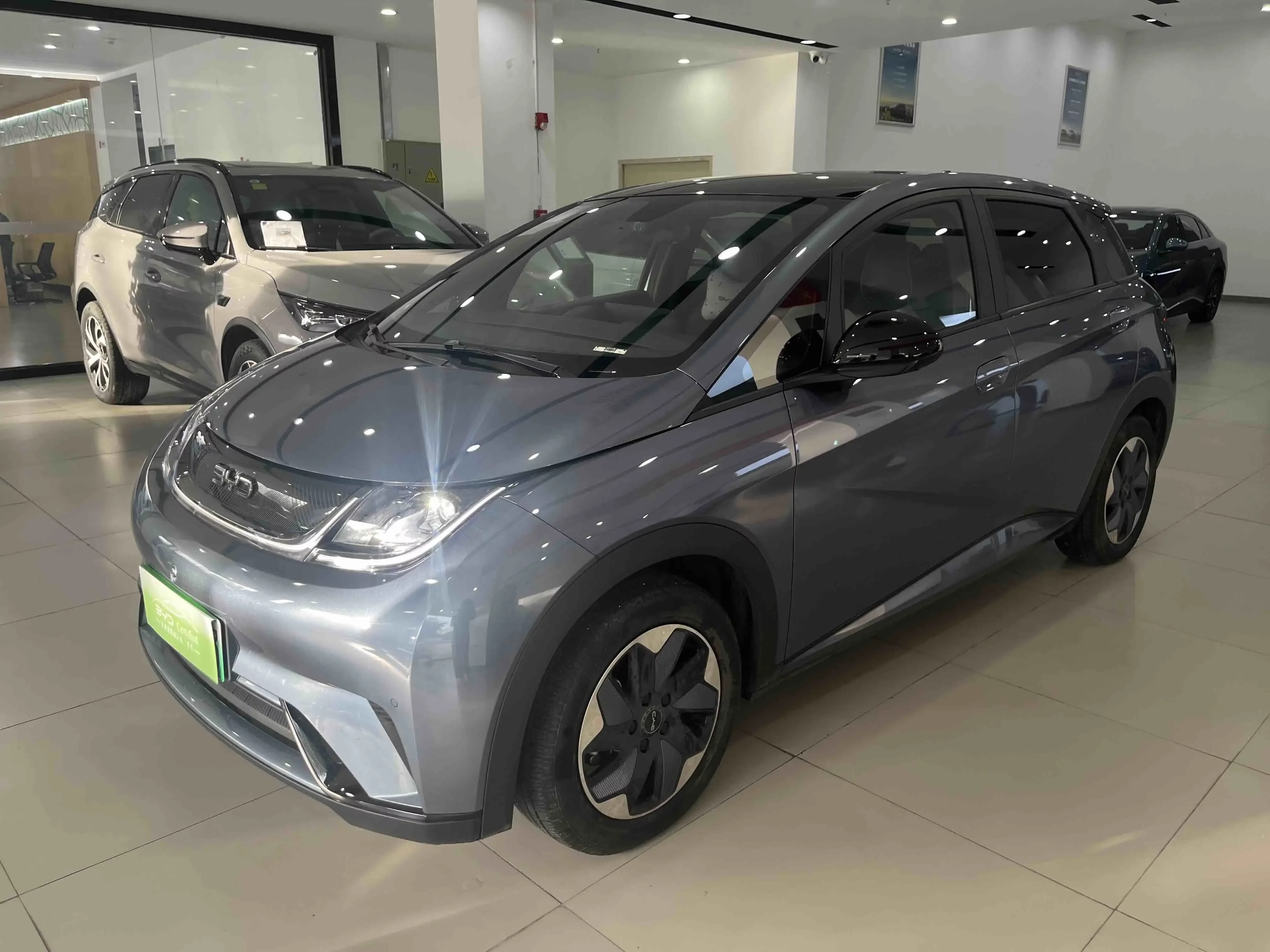 BYD dolphin