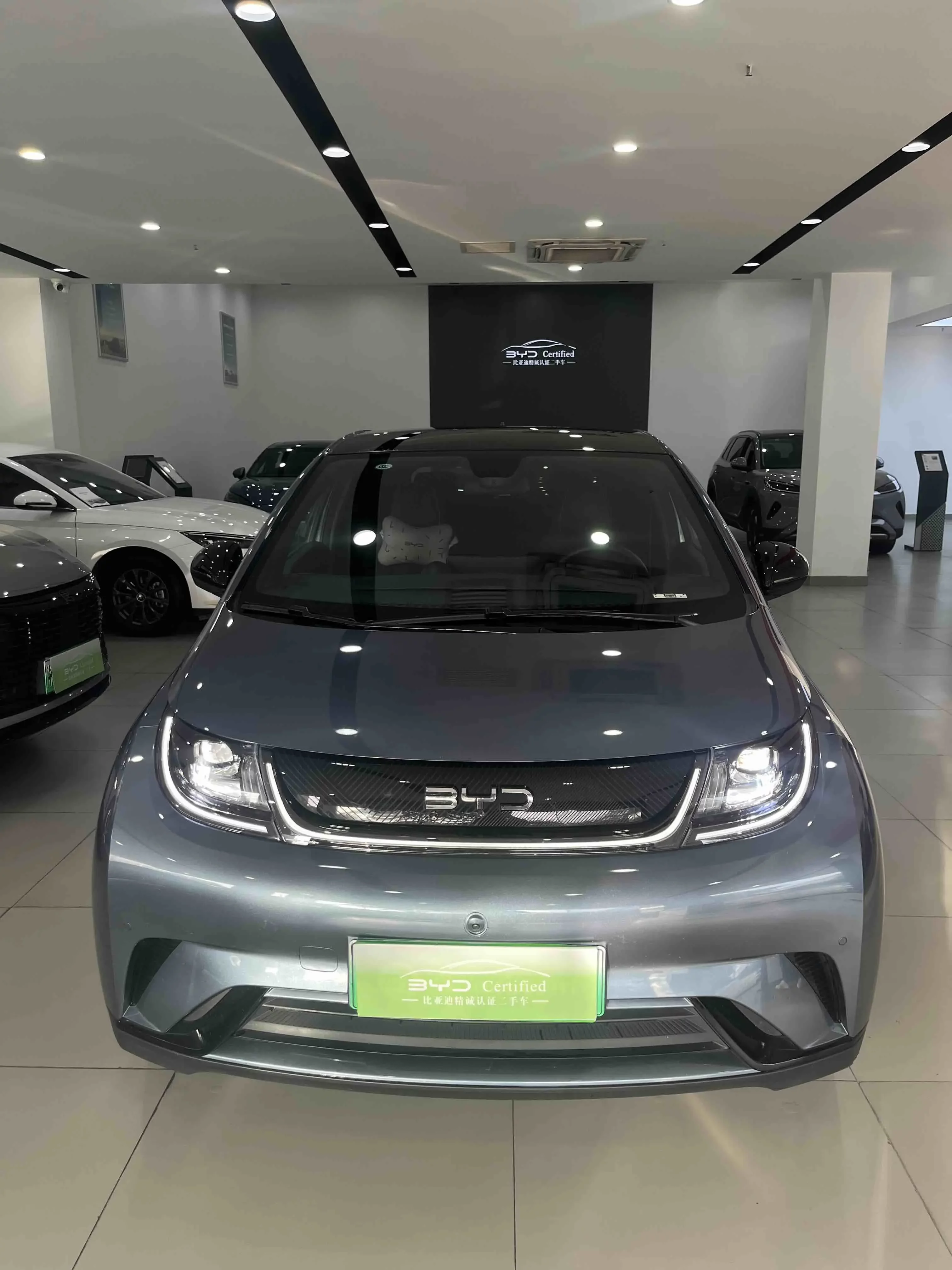 BYD dolphin