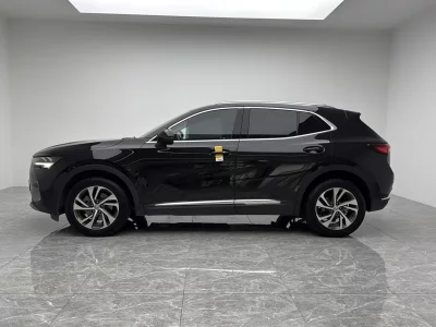 Buick Envision S