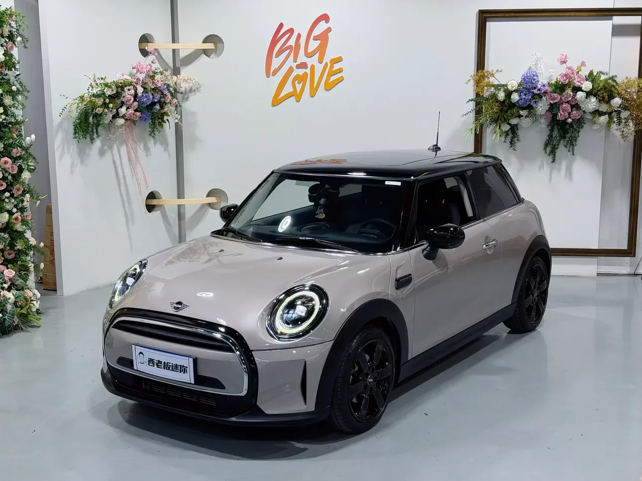 MINI 