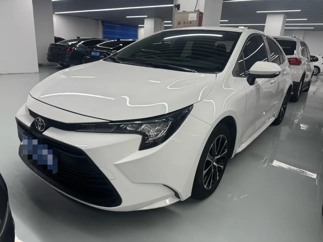Toyota Levin