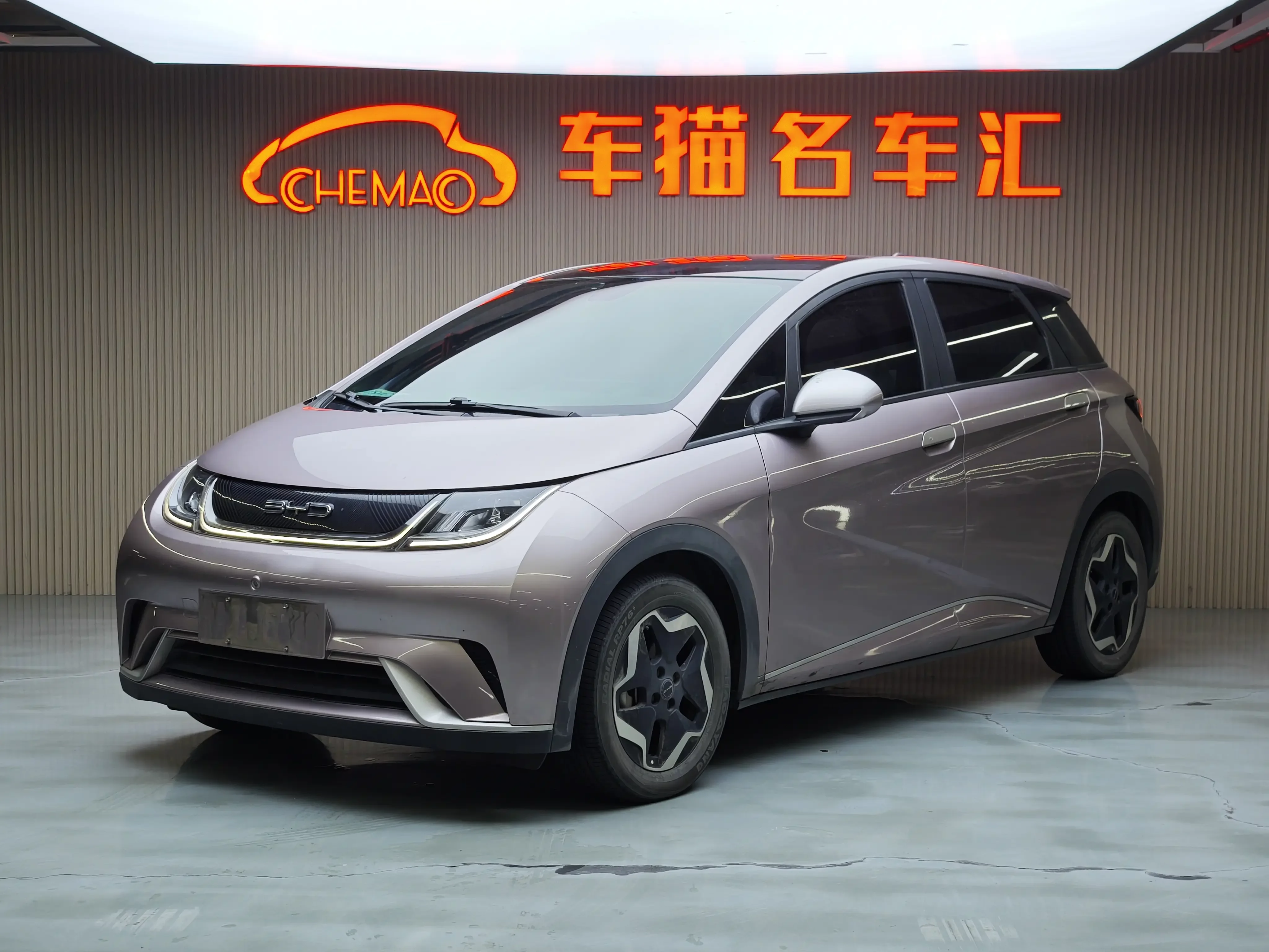 BYD dolphin