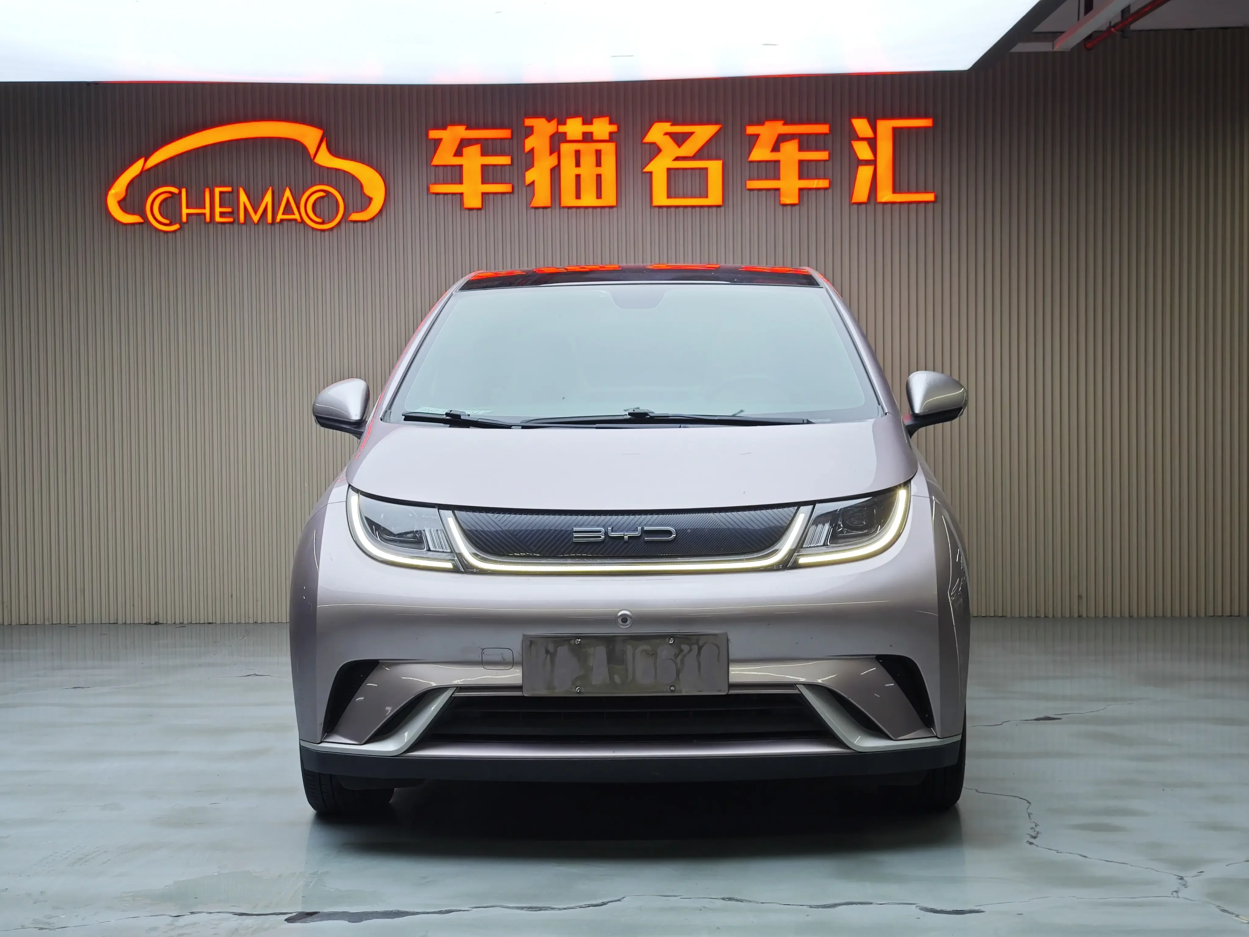 BYD dolphin