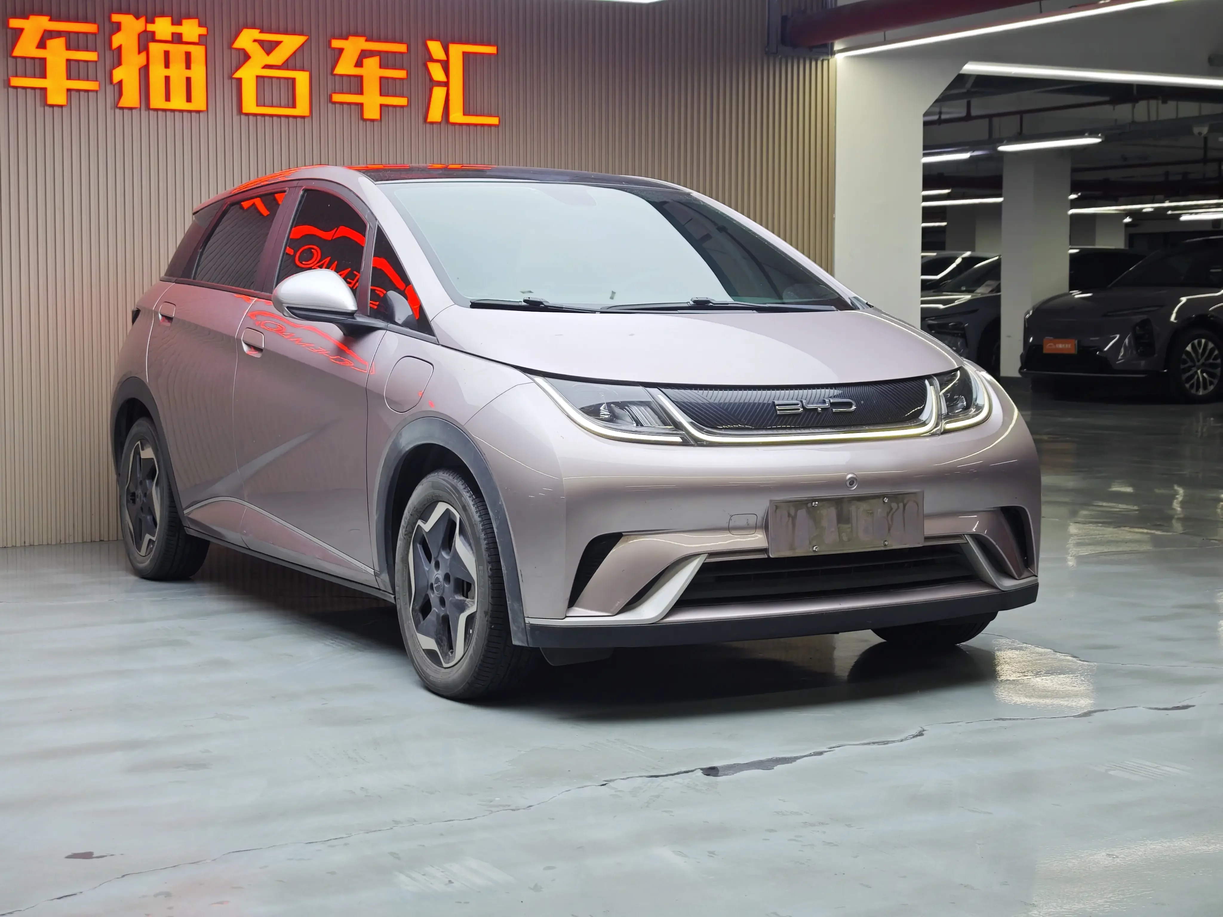BYD dolphin