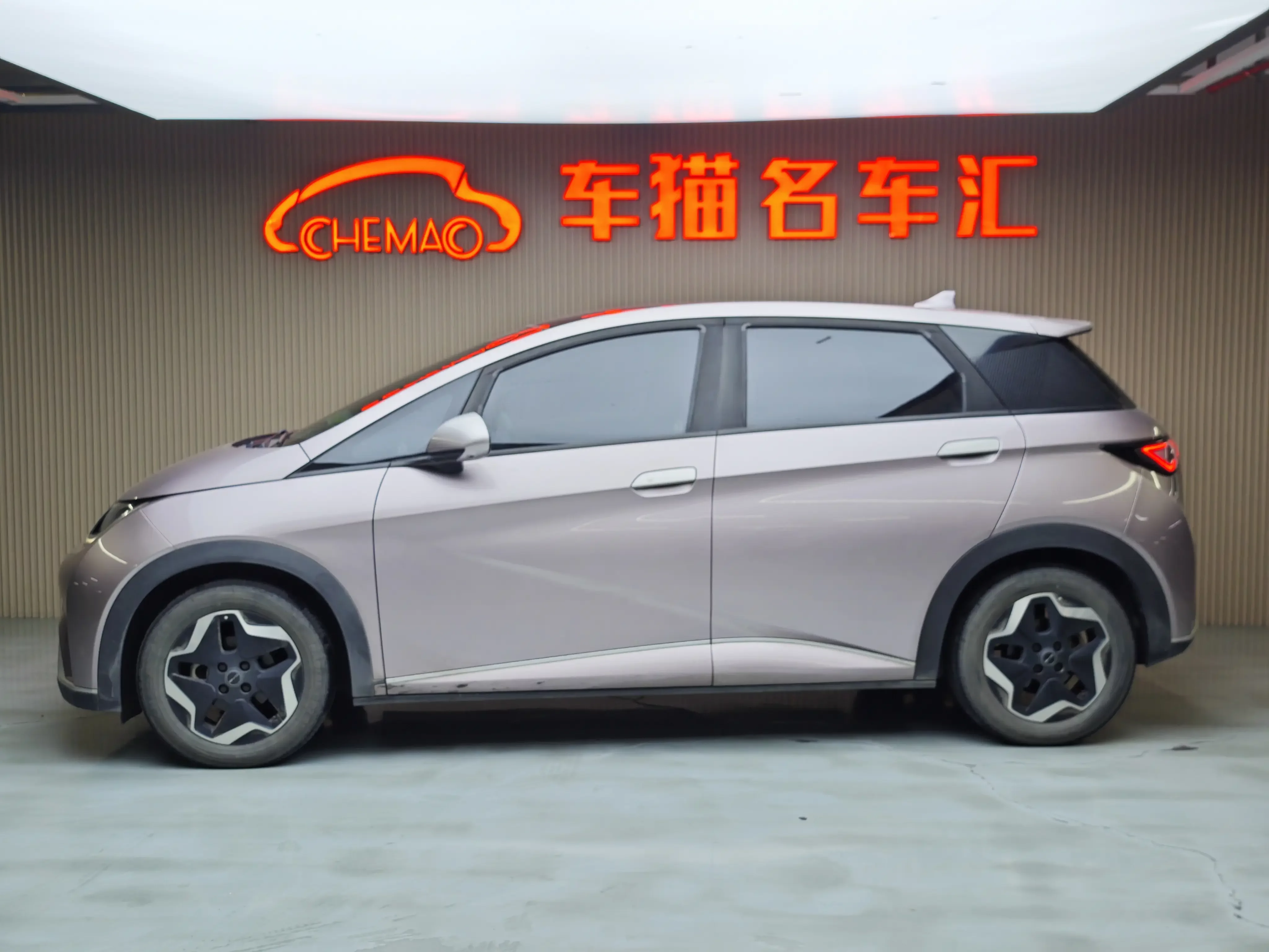 BYD dolphin