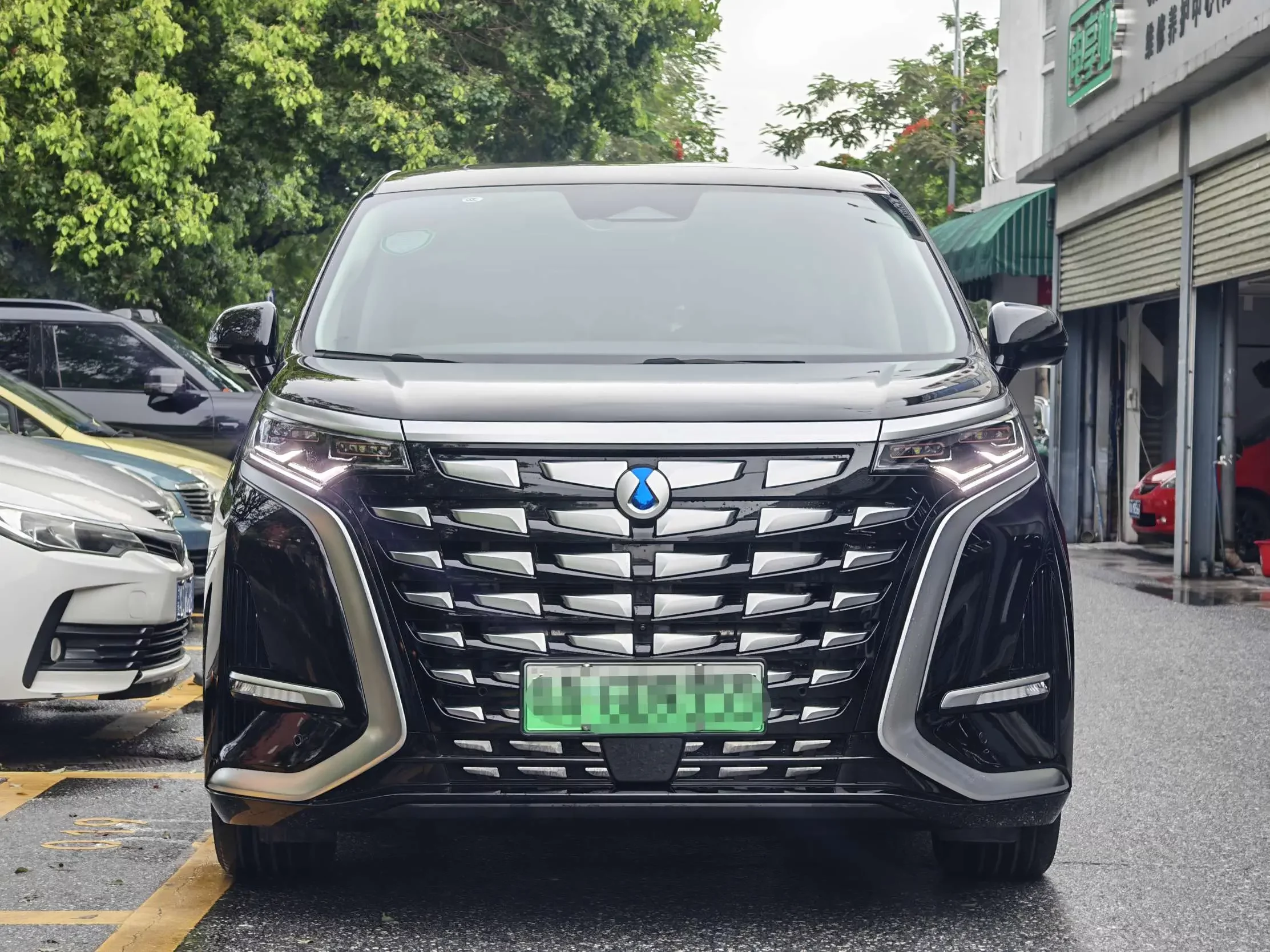 Denza D9 DM