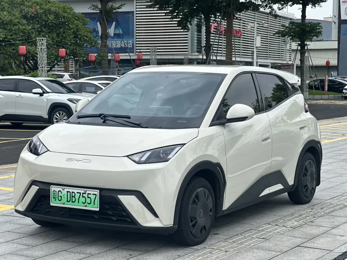 BYD seagull